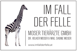 zur Website